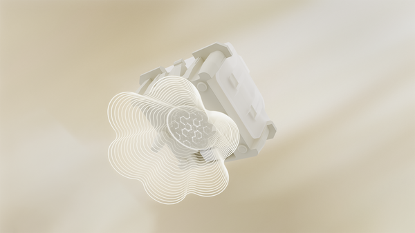 WS Flux Switch