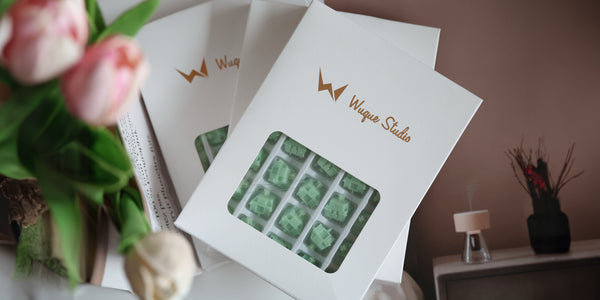 WS Jade Switch