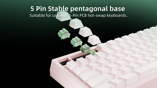 WS Jade Switch