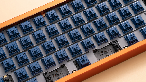 WS Light Tactile Switch