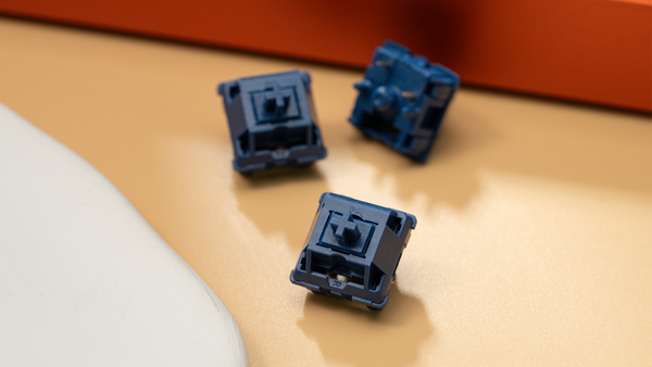 WS Light Tactile Switch
