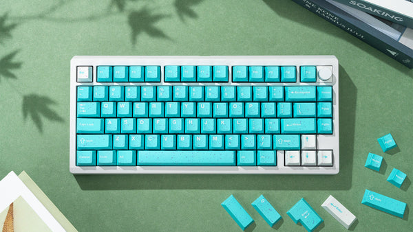 WS Purquoise Keycaps Set