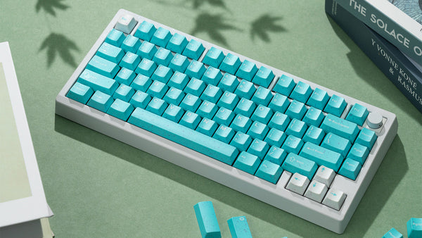 WS Purquoise Keycaps Set