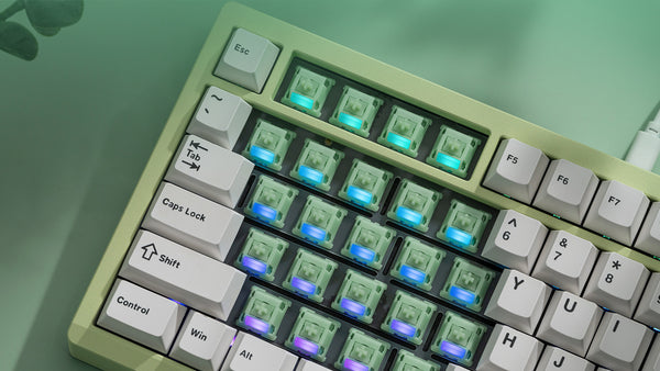 WS Jade Switch