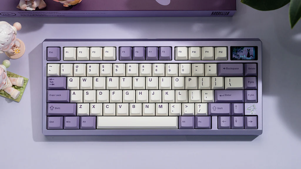 🎁 Chilkey Thanksgiving Gift Keycaps (100% off)