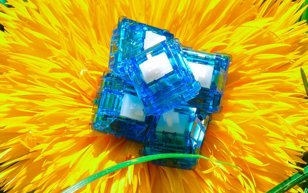 Original Aspiration (OA) Switch