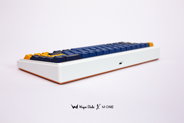 Ginkgo65