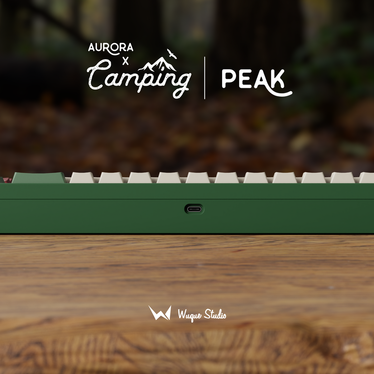 Ikki68xCamping_View06a.png?