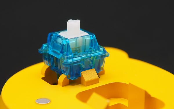 Wuque Bear Switch Opener