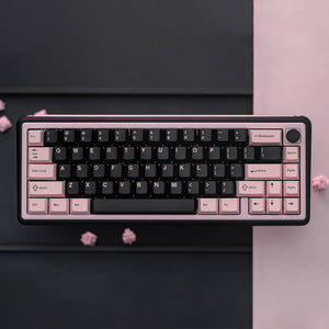 🎁 Foxy 65 Assembled Edition (100% off)