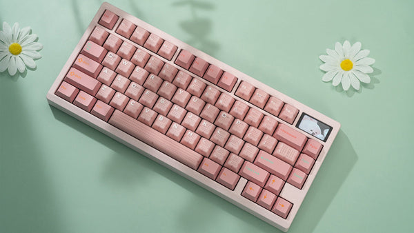 Zoom75