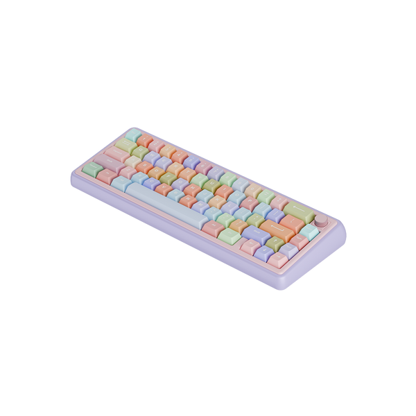 🎁 Paw 65 Assembled Edition (100% off)