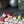 Christmas Gifts