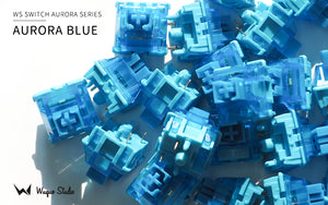 [In Stock] WS Switches Aurora Series
